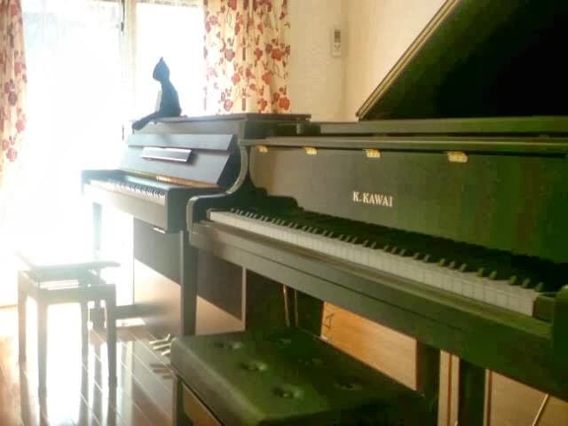 MusiqueMirabelle(ミュズィックミラベル) ピアノ 北新宿教室のメイン画像