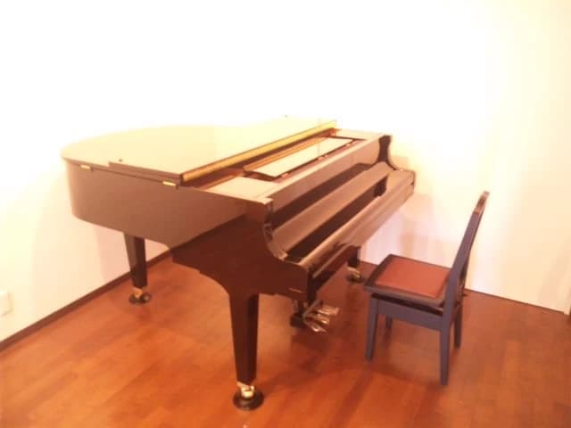 Studio音紬 ピアノ 西大井教室のサムネイル画像 2
