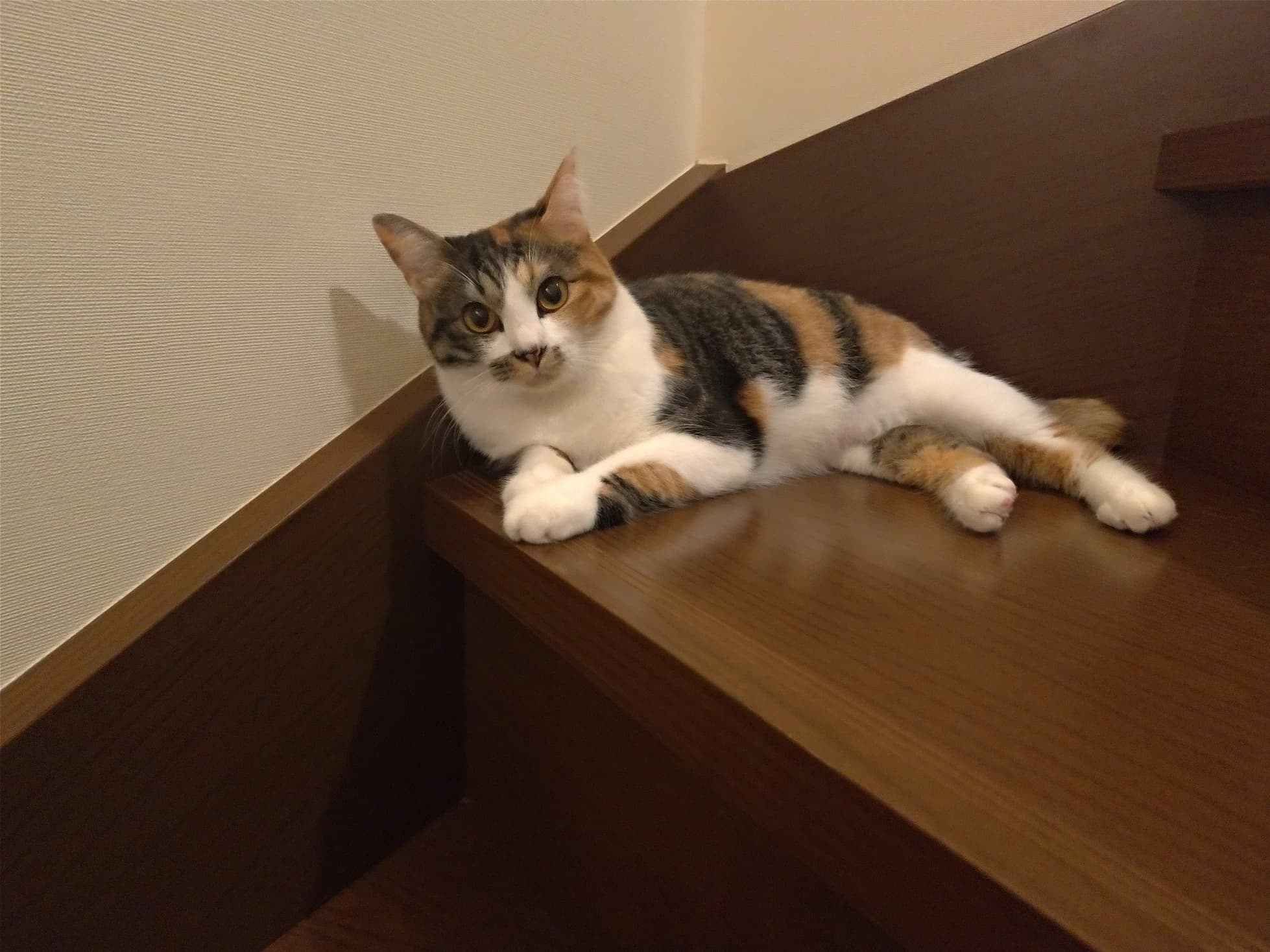 Fluer(フルール) ピアノ 浮間教室のサムネイル画像 3