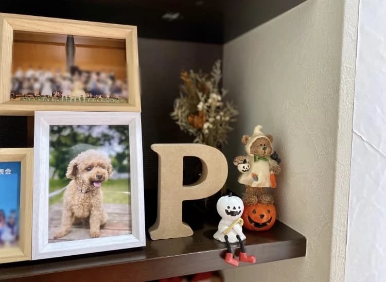 江戸川区船堀高橋ピアノ・リトミック教室 江戸川区教室 画像 19