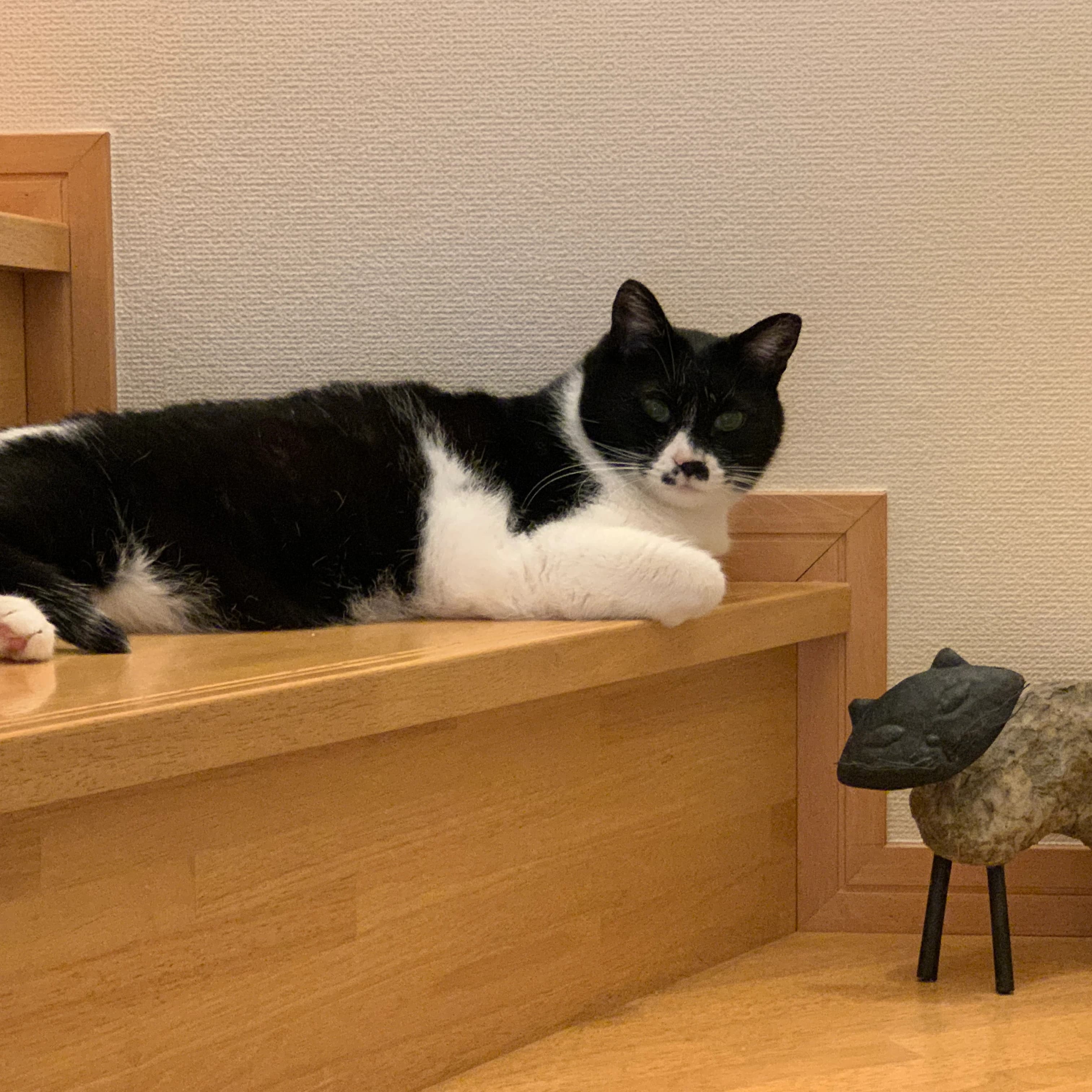 かねこちひろピアノ・リトミック教室 ピアノ 練馬教室 画像 106