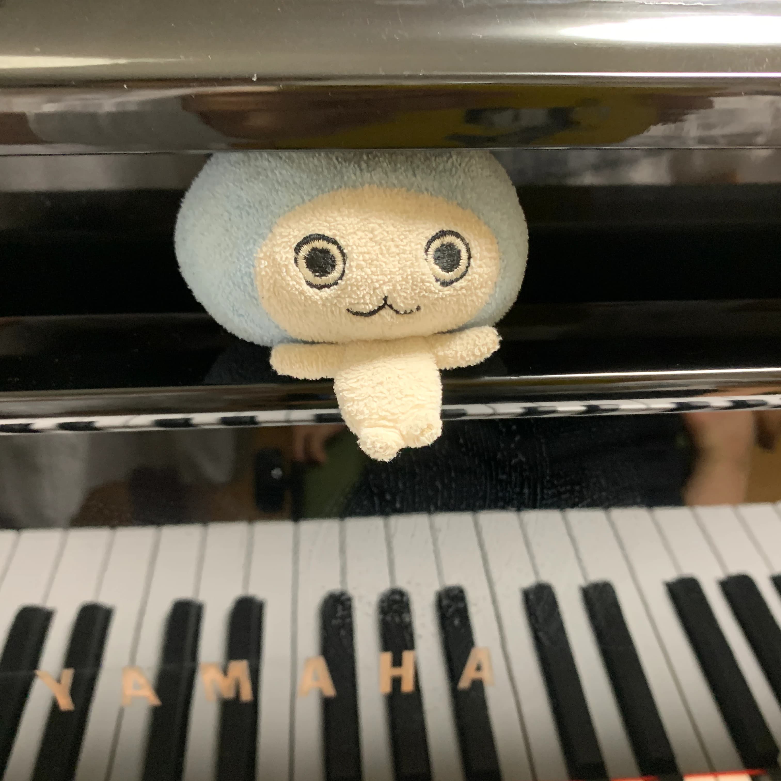 かねこちひろピアノ・リトミック教室 ピアノ 練馬教室 画像 112