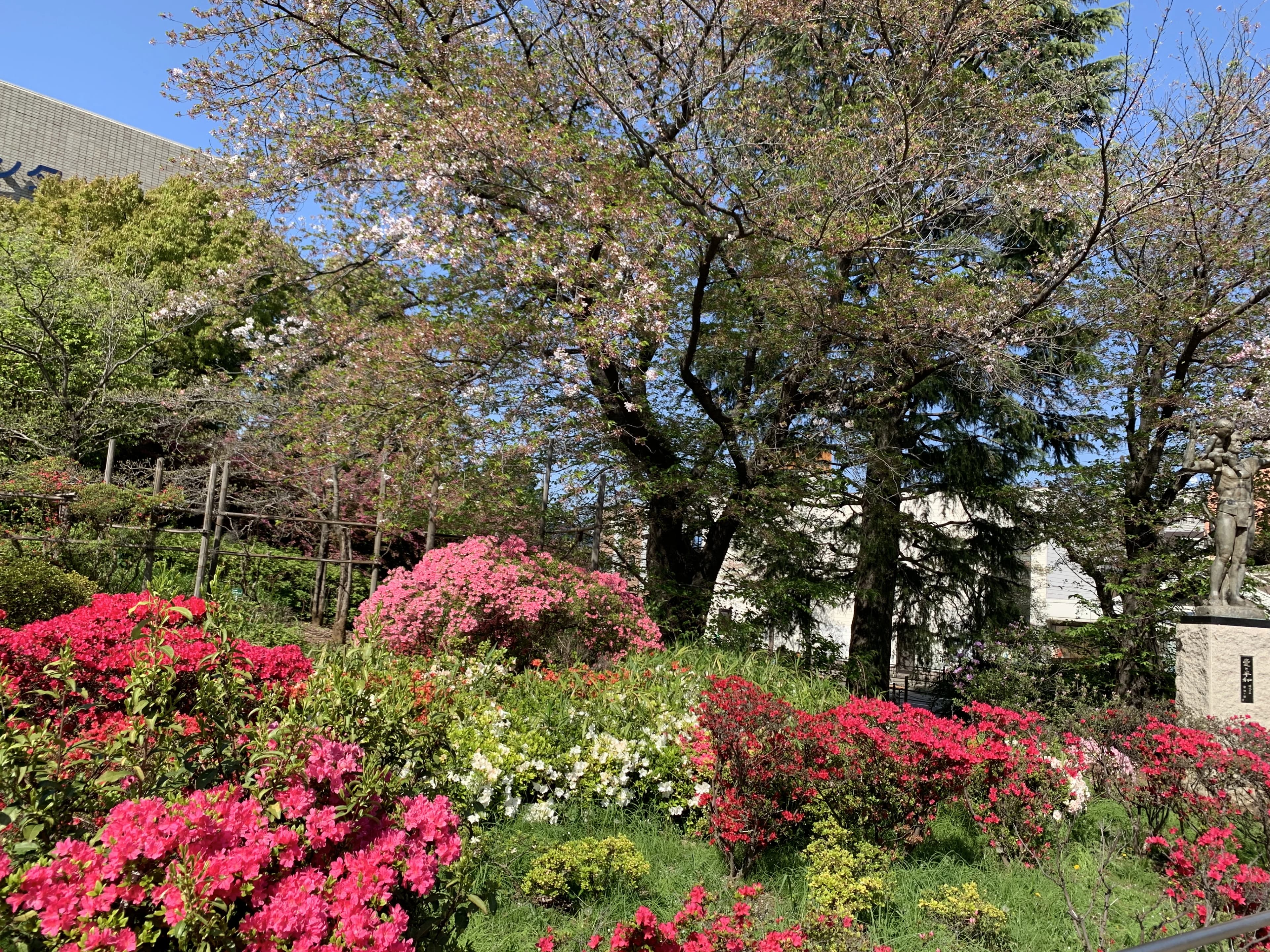 かねこちひろピアノ・リトミック教室 ピアノ 練馬教室 画像 20