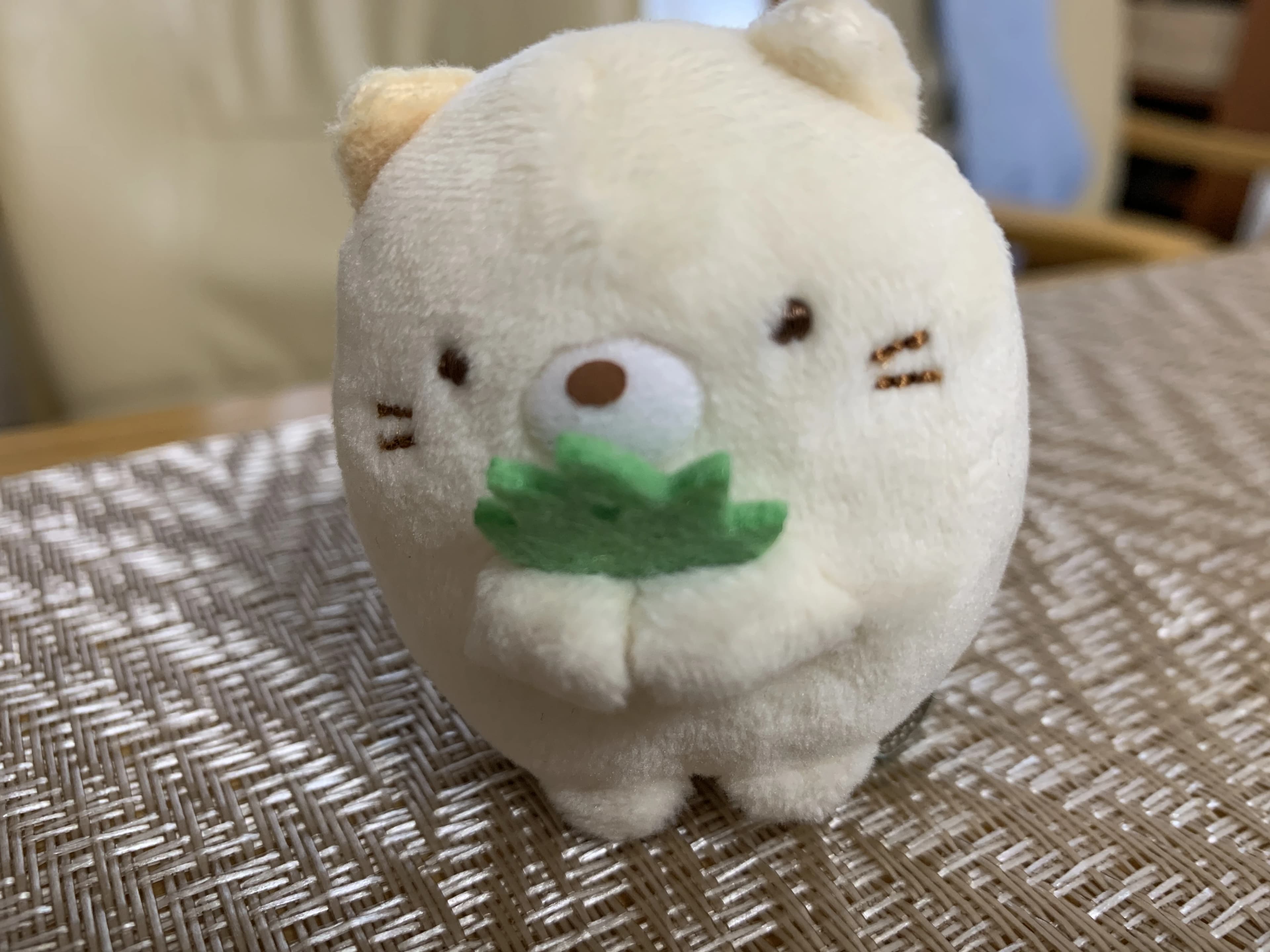 かねこちひろピアノ・リトミック教室 ピアノ 練馬教室 画像 46