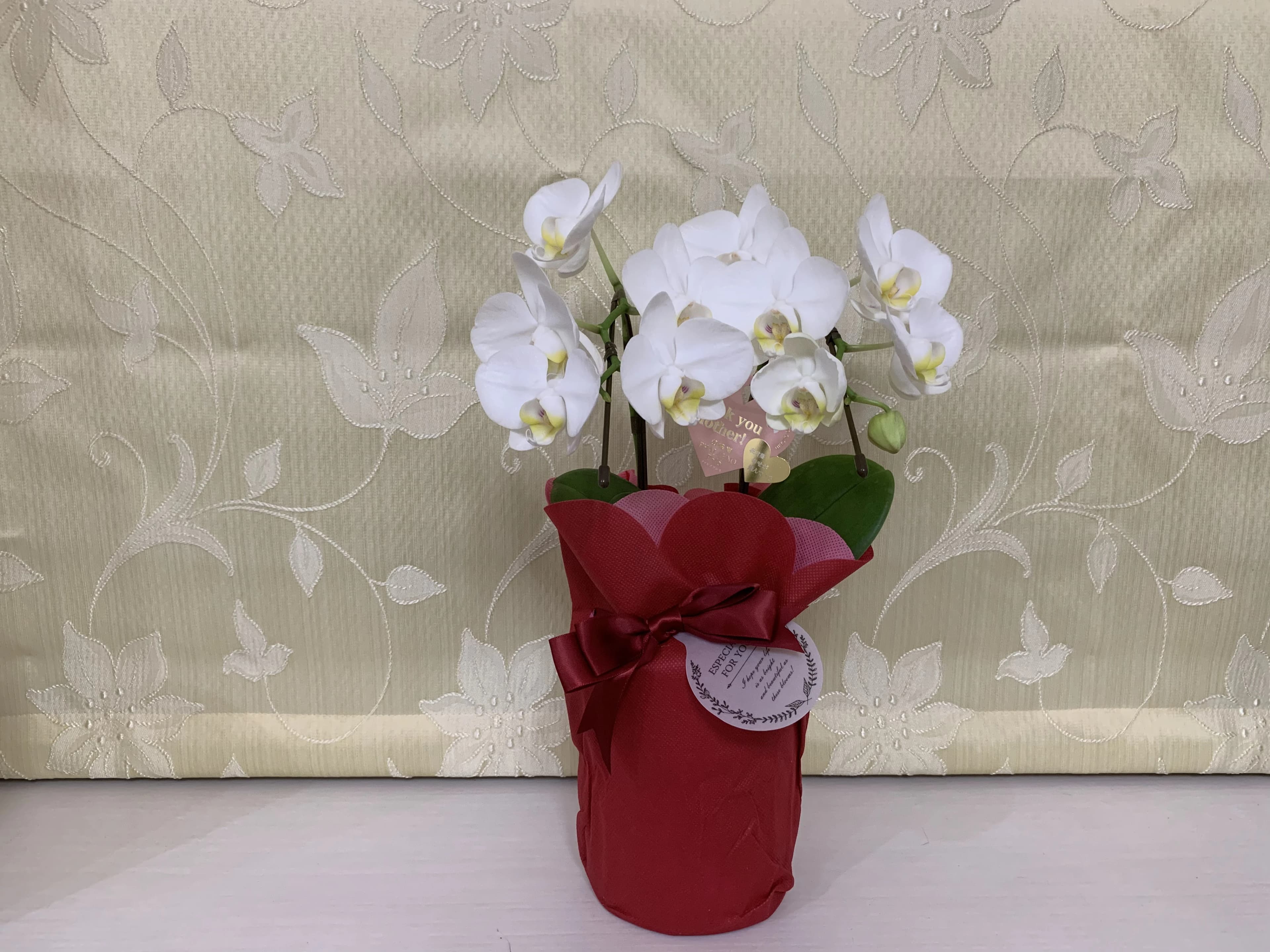 かねこちひろピアノ・リトミック教室 ピアノ 練馬教室 画像 51