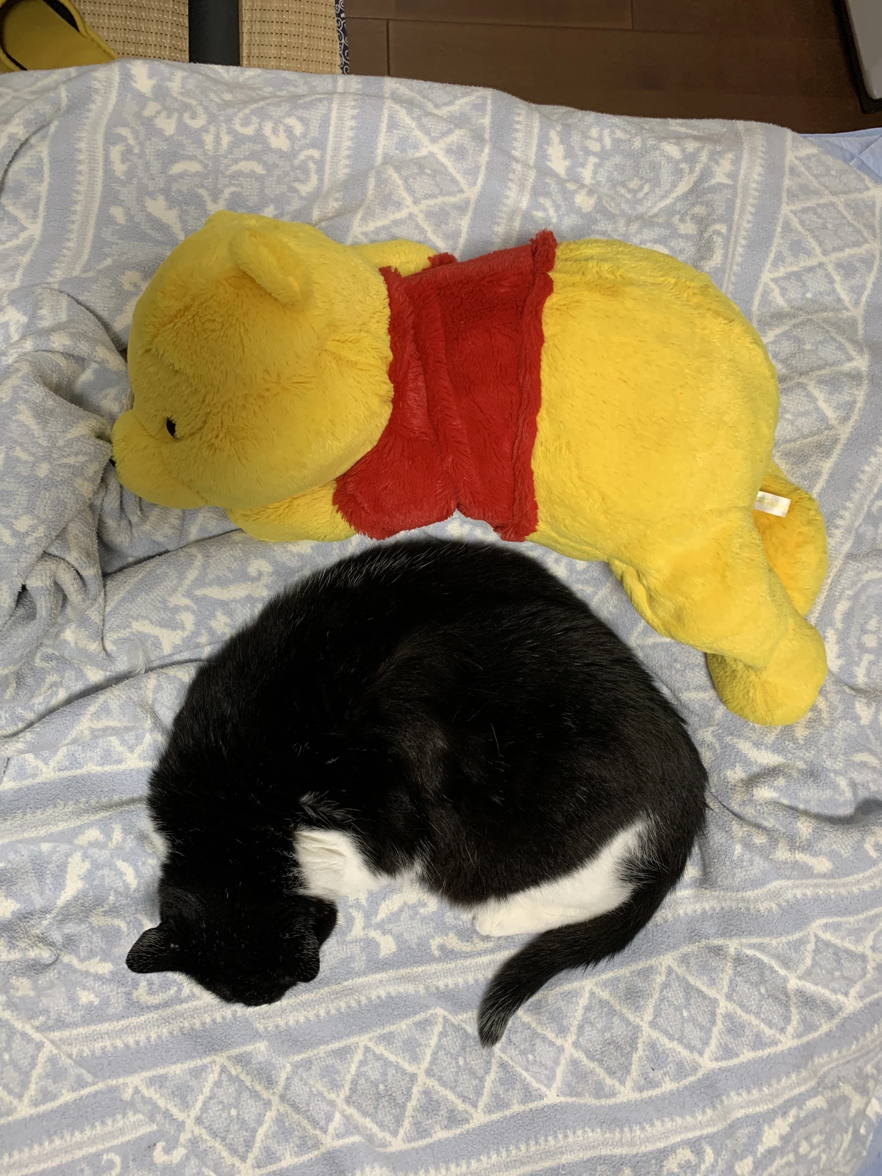 かねこちひろピアノ・リトミック教室 ピアノ 練馬教室 画像 67