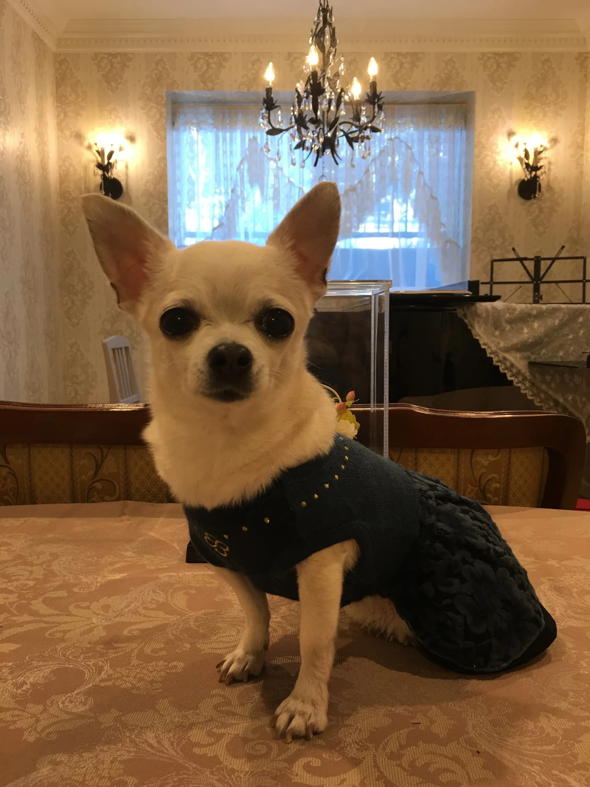 ぴゅあと~ん音楽教室 ピアノ 清瀬 竹丘ヒルズスタジオのサムネイル画像 4