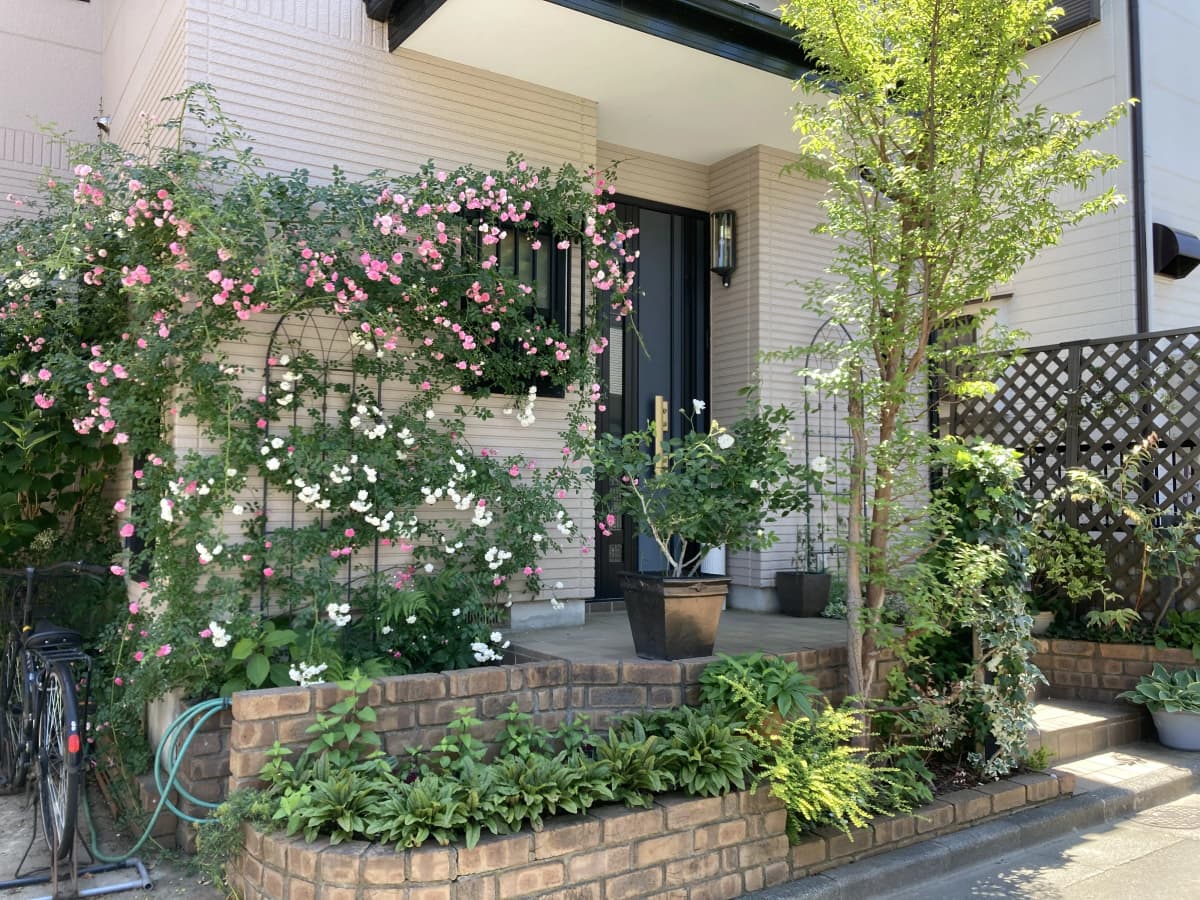 サムネイル画像 3