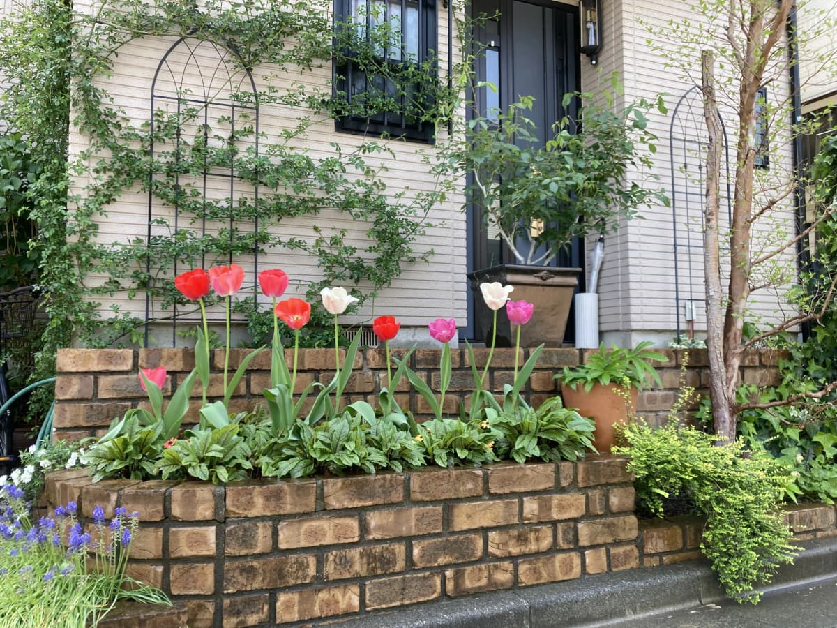 サムネイル画像 4