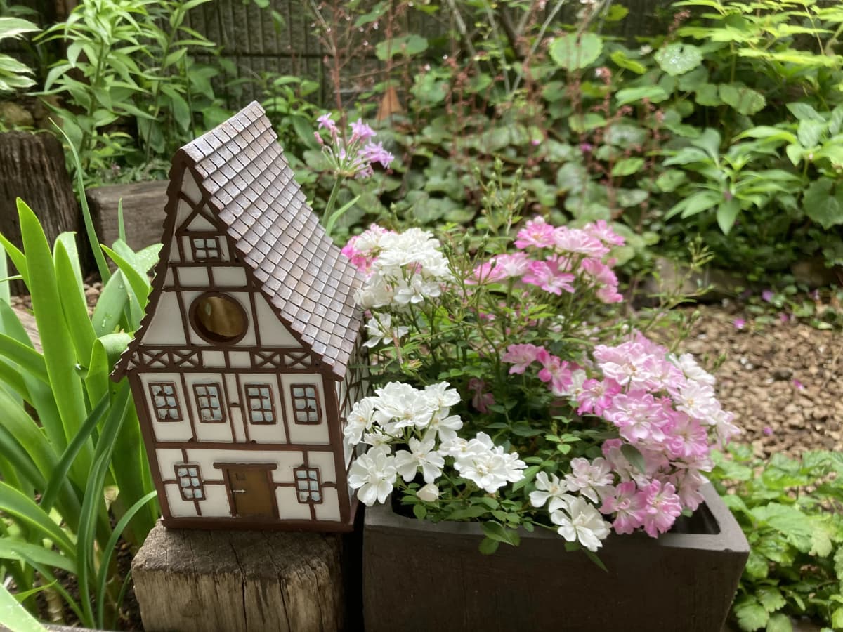 サムネイル画像 5