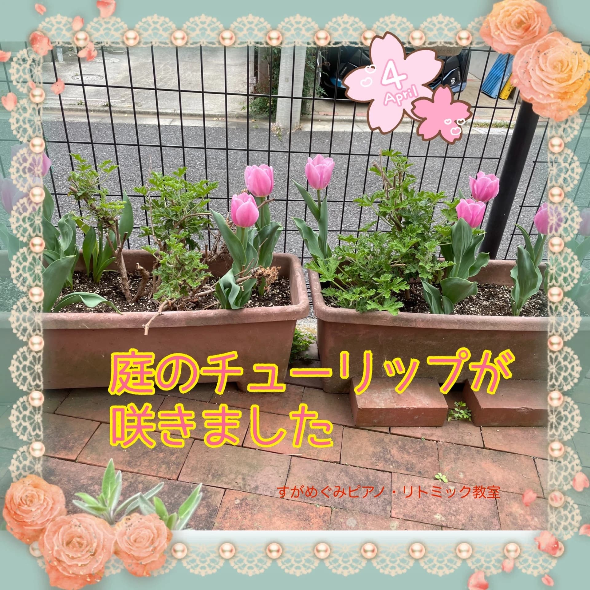 須賀恵ピアノ教室 江戸川区教室 画像 21