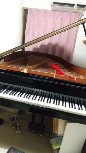 ゆめピアノ教室 白鳥教室のサムネイル画像 4