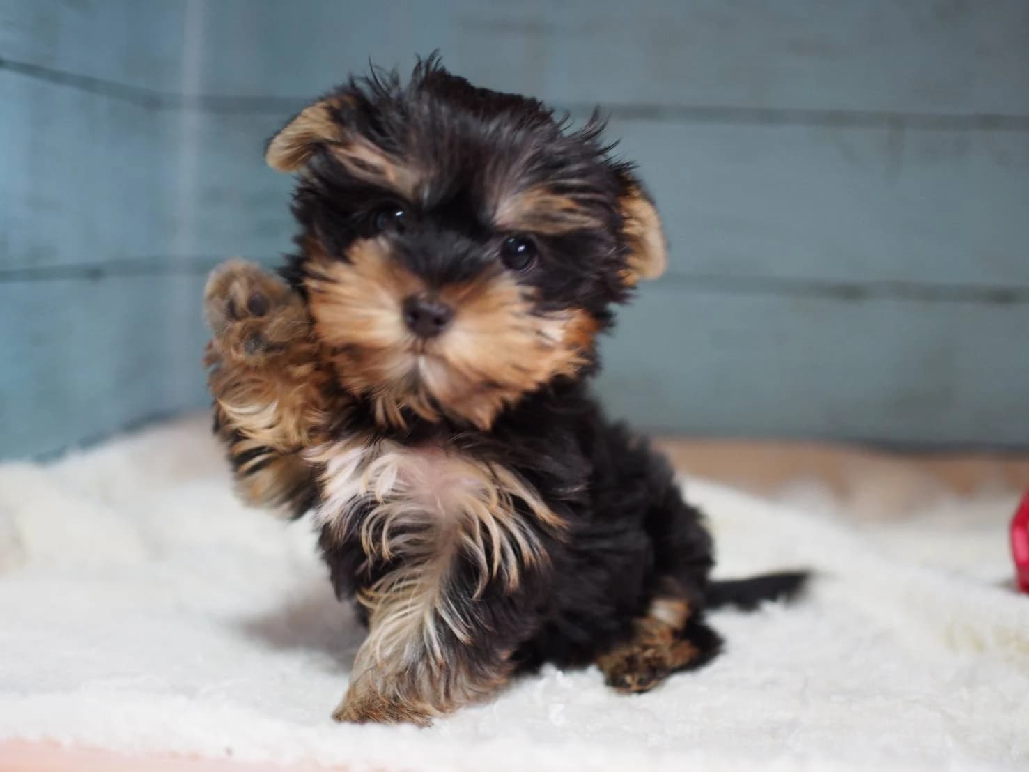 ピアノ教室アレグロ 浅間町教室のサムネイル画像 3