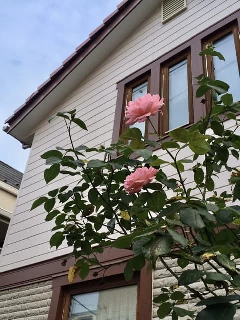 miavoce(ミアヴォーチェ)音楽教室 ピアノ 高円寺南教室のサムネイル画像 3