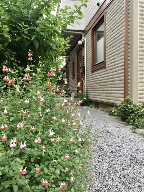 miavoce(ミアヴォーチェ)音楽教室 ピアノ 高円寺南教室のサムネイル画像 4