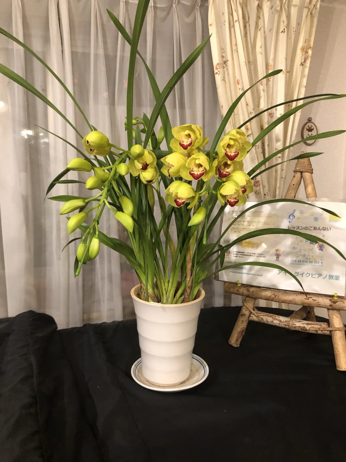 サムネイル画像 5