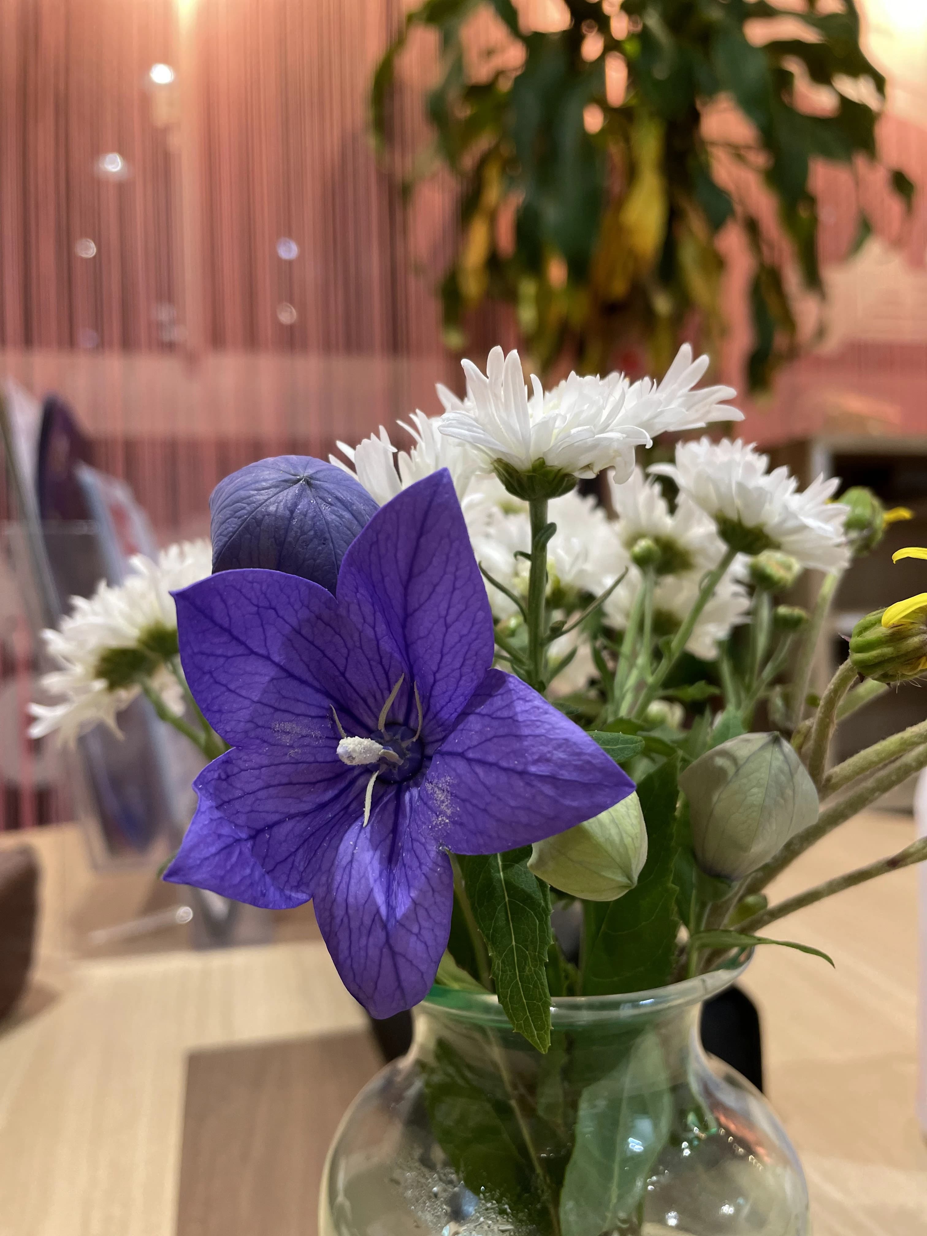 カノン音楽教室 ピアノ 綾瀬校のサムネイル画像 2