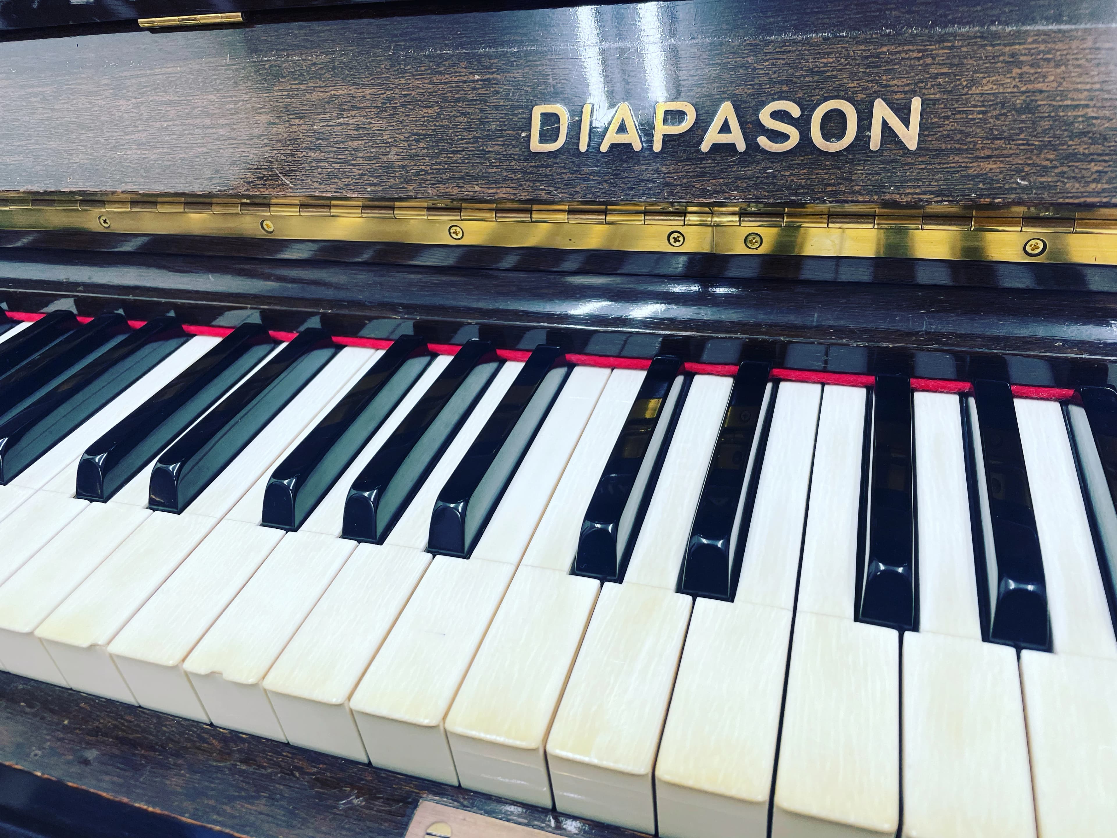 twinkle music labo ピアノ 大塚教室のサムネイル画像 4