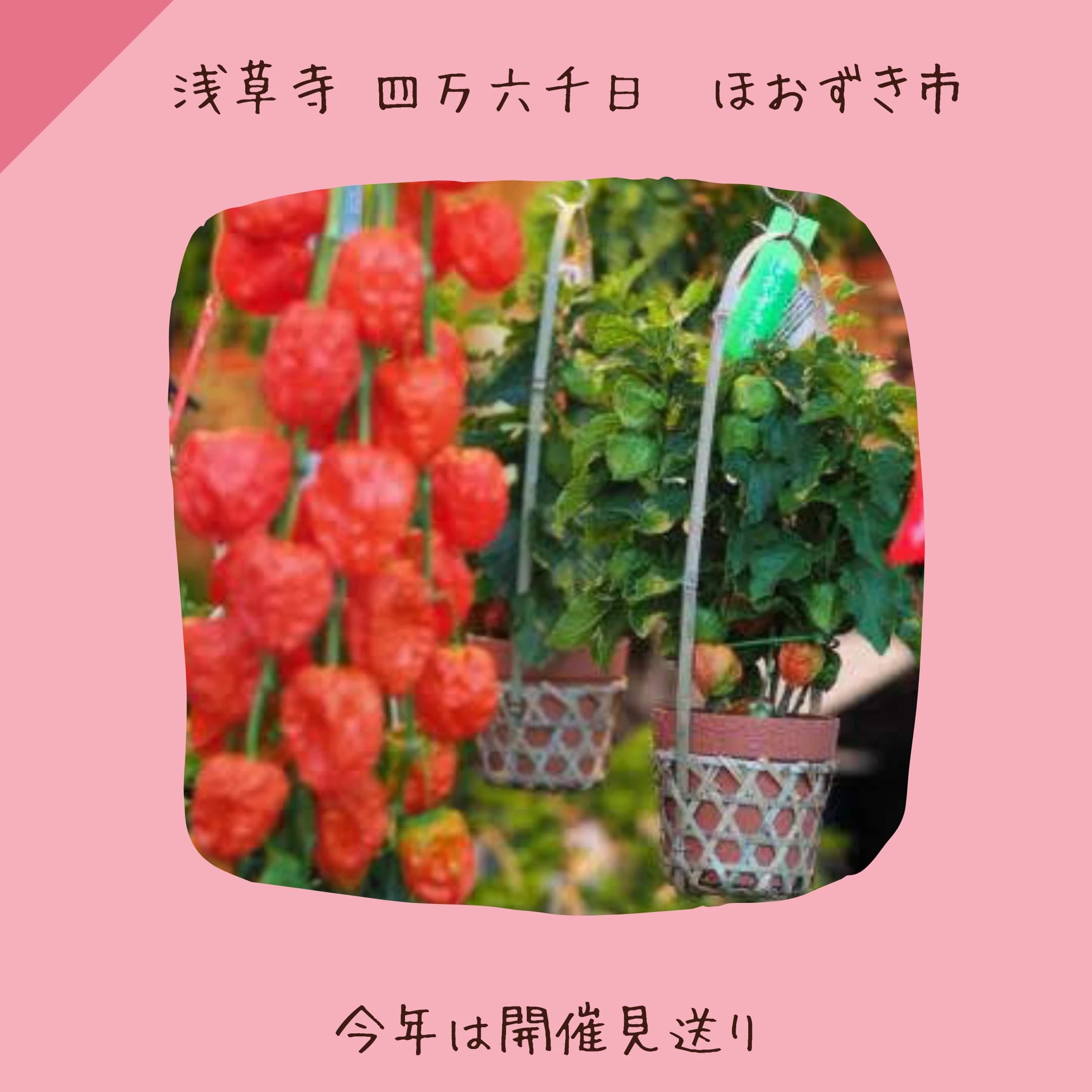 高島ピアノ塾 竜泉教室 画像 18