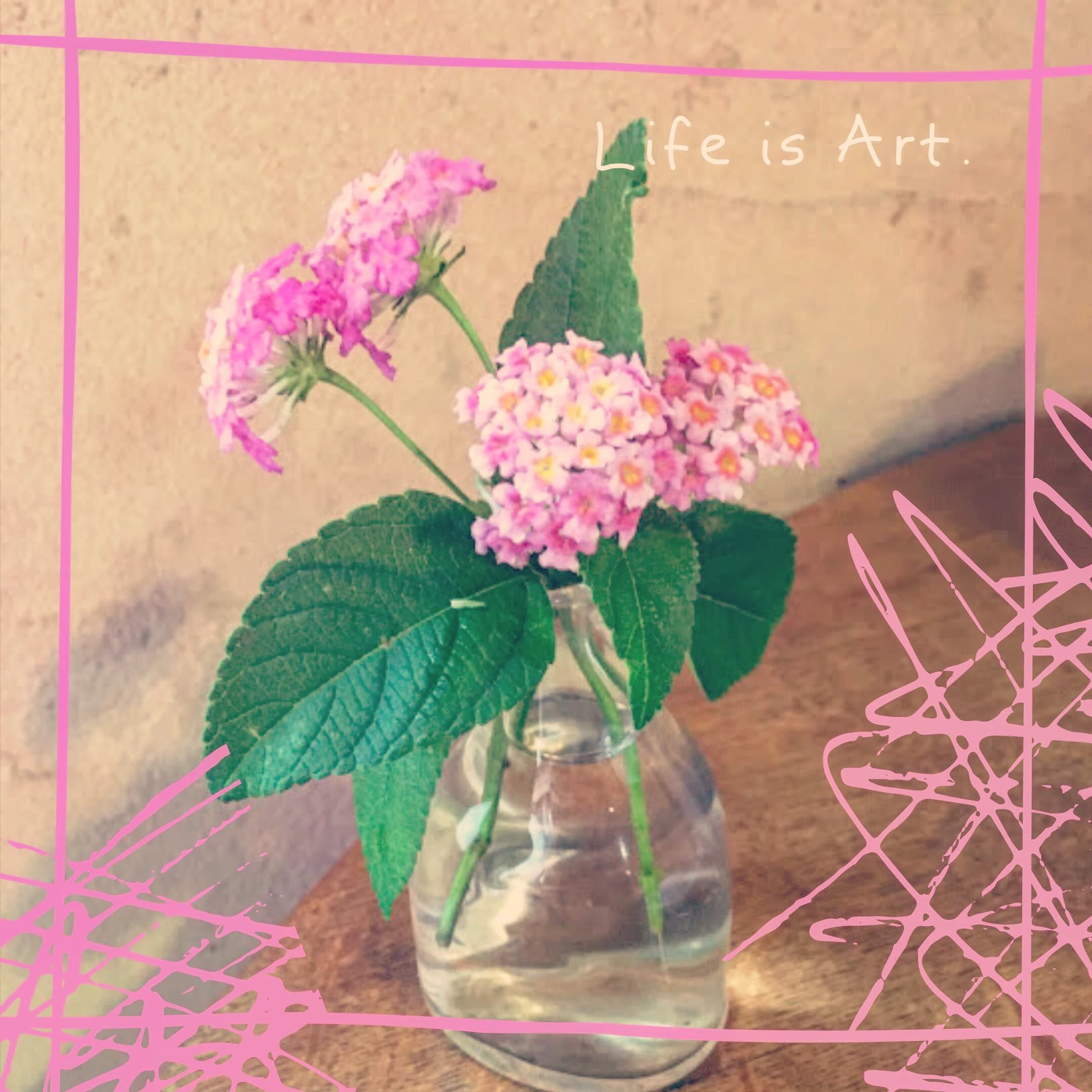 高島ピアノ塾 竜泉教室 画像 19