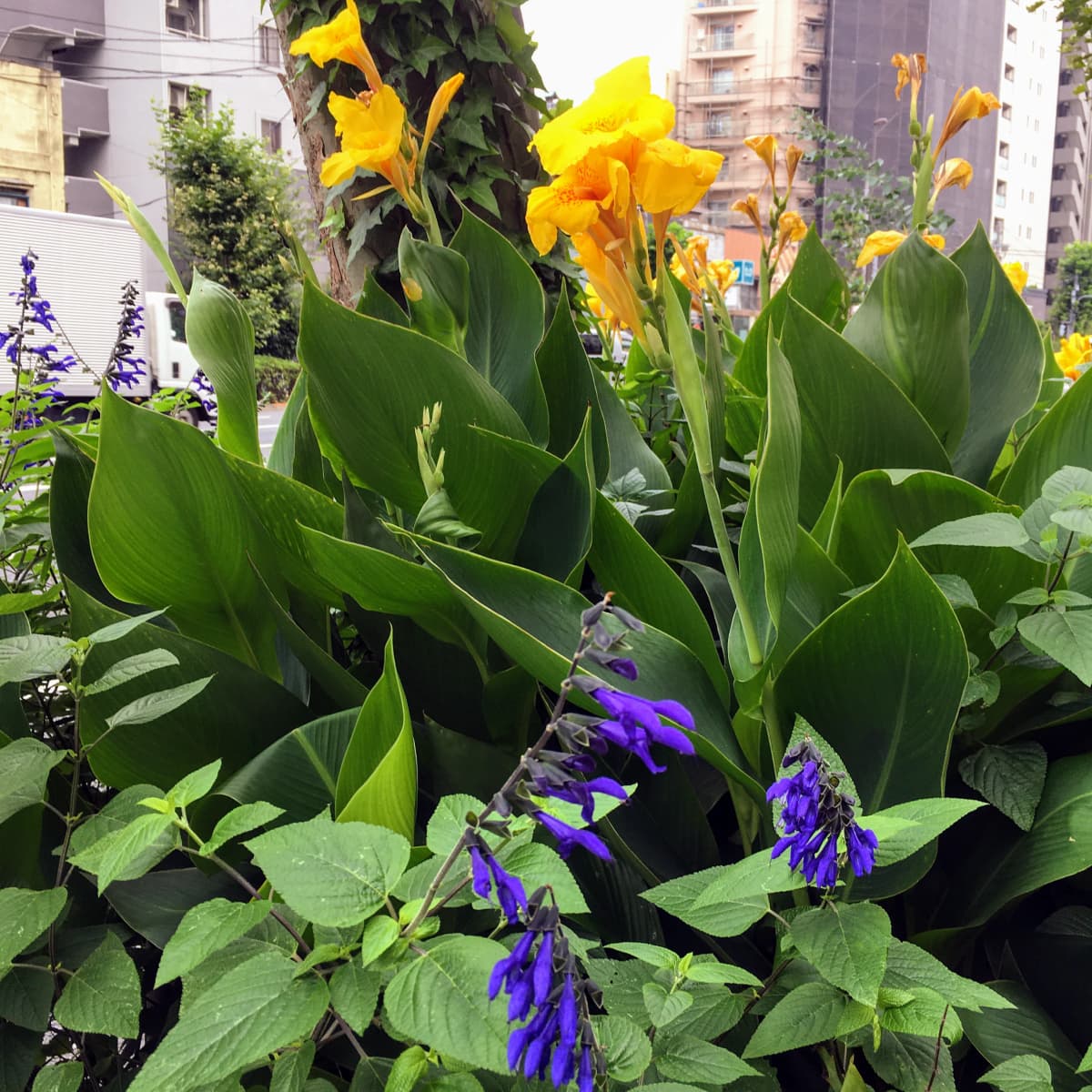 高島ピアノ塾 竜泉教室 画像 44