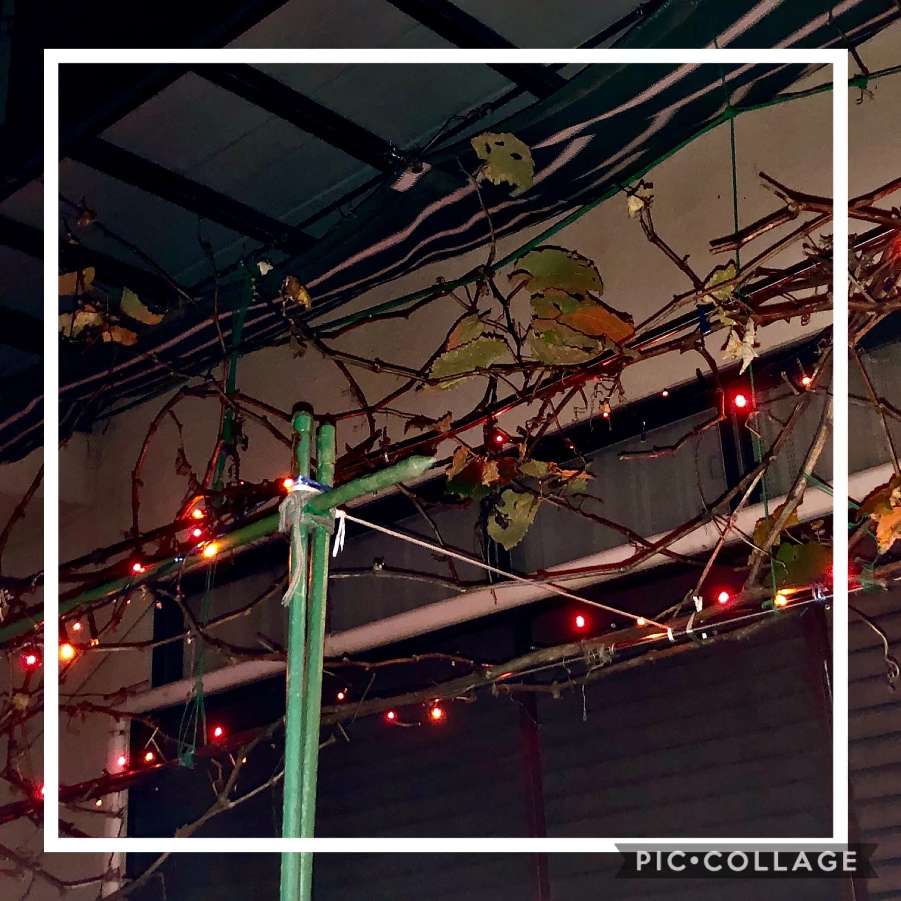 ホシナ音楽教室 ピアノ 新町教室 画像 51