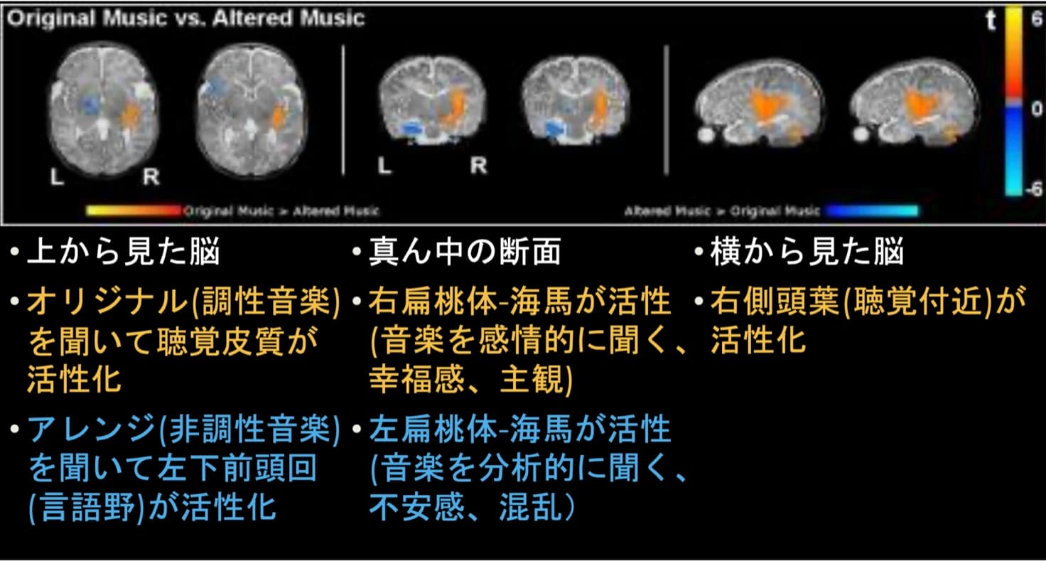 ホシナ音楽教室 ピアノ 新町教室 画像 52