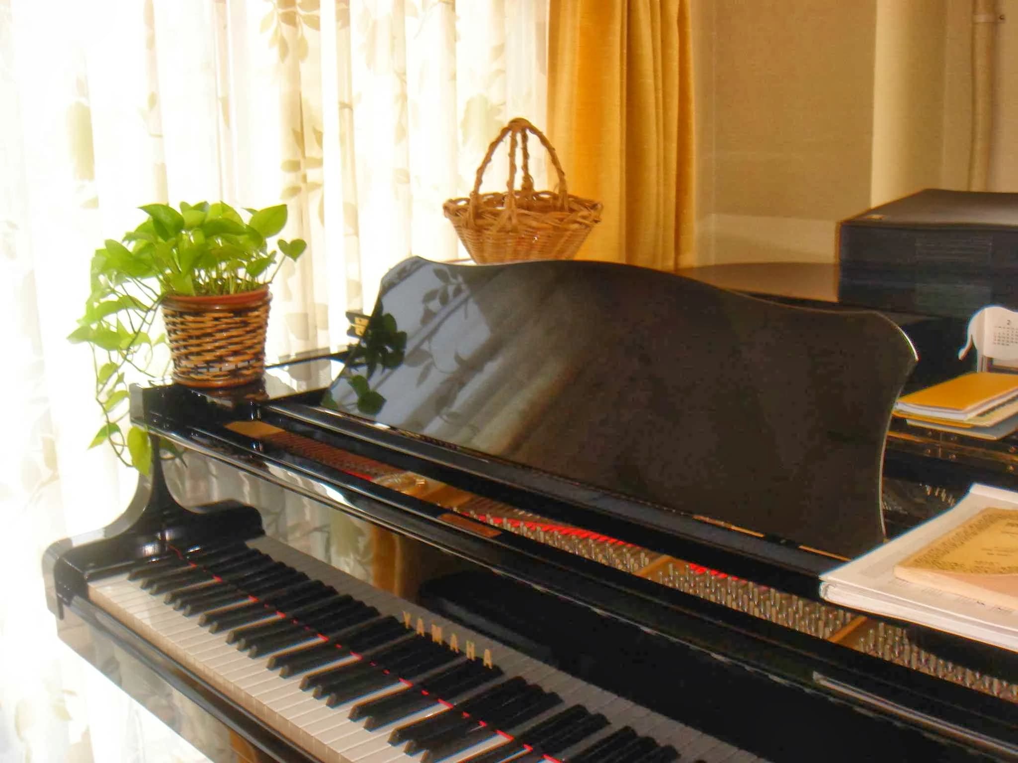 なかもり音楽教室 ピアノ 駒沢教室のメイン画像