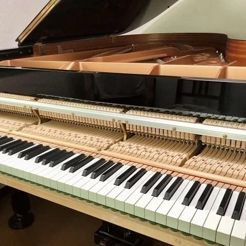 スズキ・メソード 音楽教室 ピアノ 麻布十番教室 画像 18