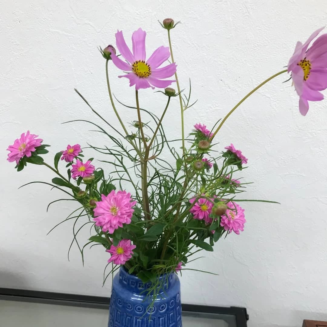 スズキ・メソード 音楽教室 ピアノ 麻布十番教室 画像 19