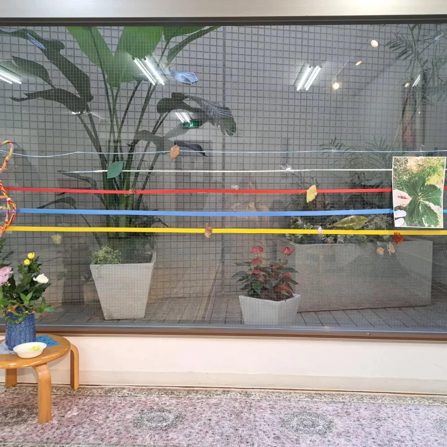 スズキ・メソード 音楽教室 ピアノ 麻布十番教室 画像 24