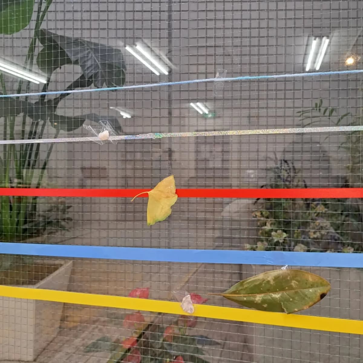 スズキ・メソード 音楽教室 ピアノ 麻布十番教室 画像 166