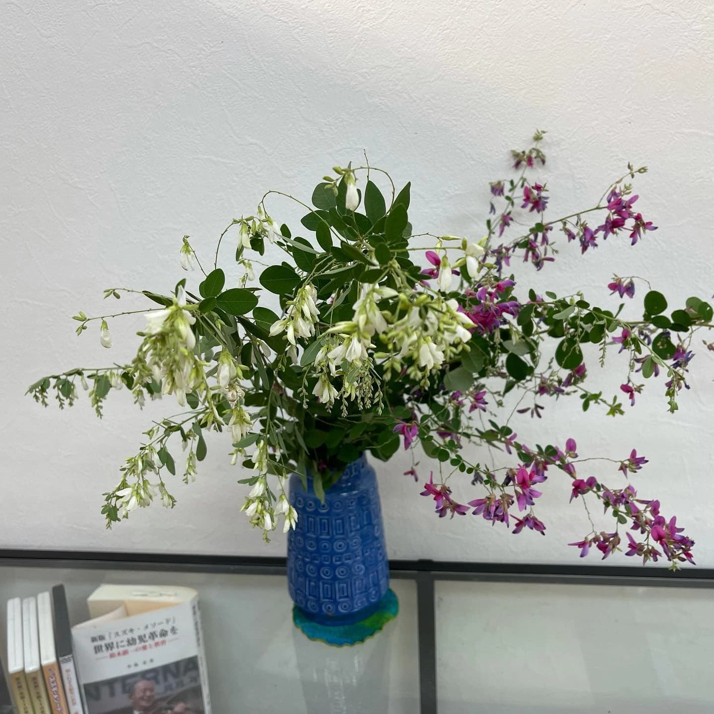 スズキ・メソード 音楽教室 ピアノ 麻布十番教室 画像 35