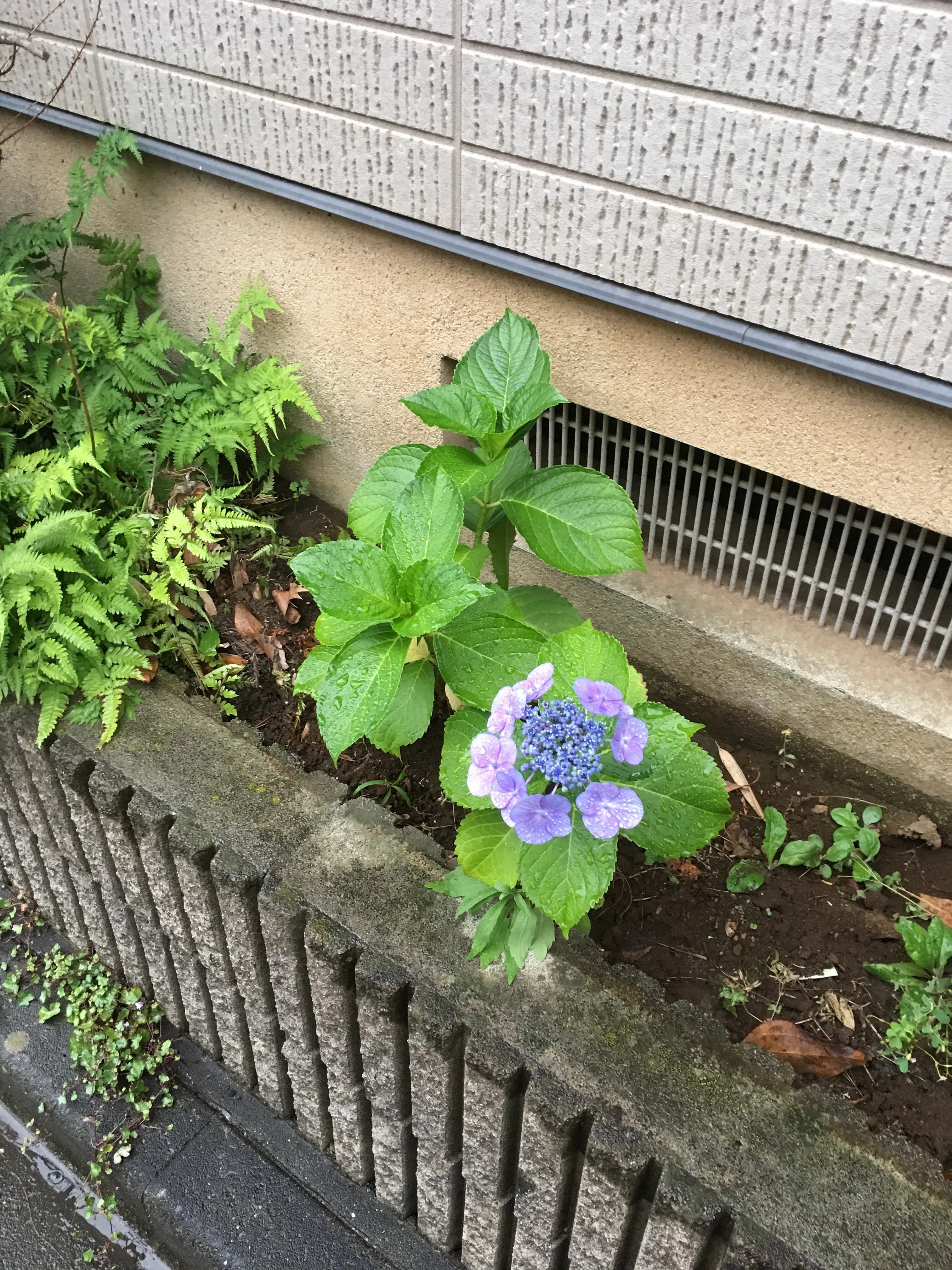 あさおか音楽教室 ピアノ 台町教室 画像 23