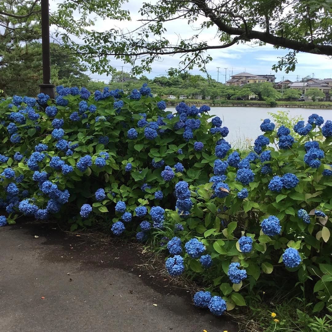あさおか音楽教室 ピアノ 台町教室のメイン画像