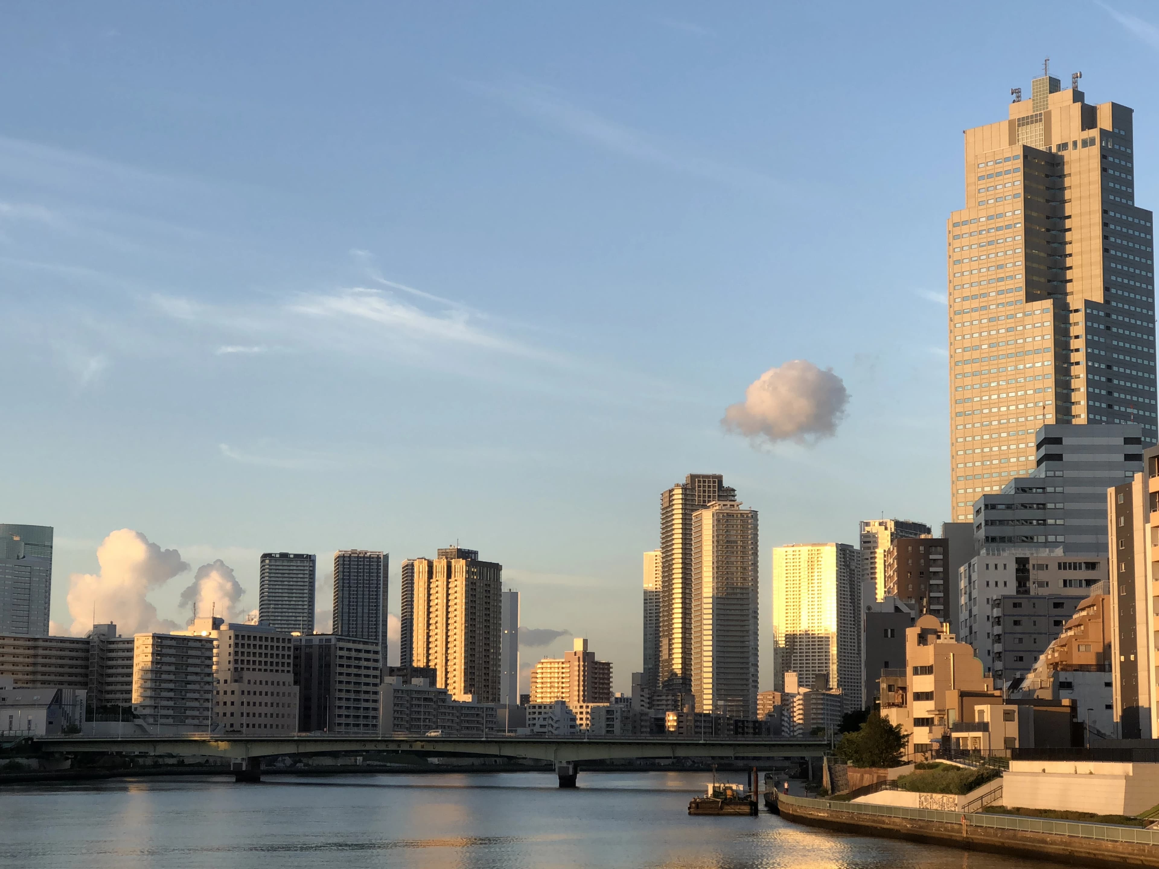 カノン音楽教室 ピアノ 湊教室 画像 18