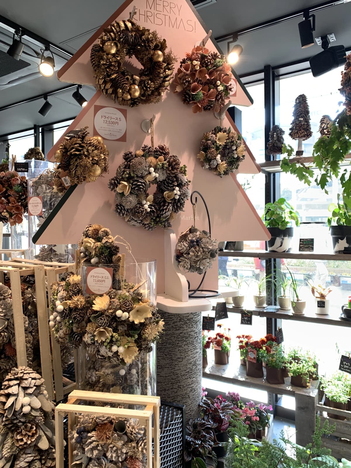 ふるかわピアノ教室 大山教室 画像 18