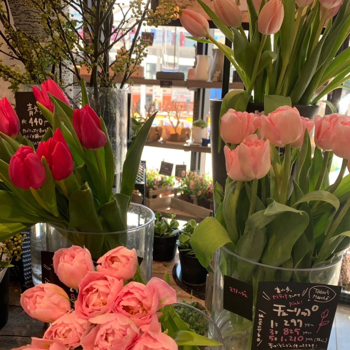 ふるかわピアノ教室 大山教室 画像 28