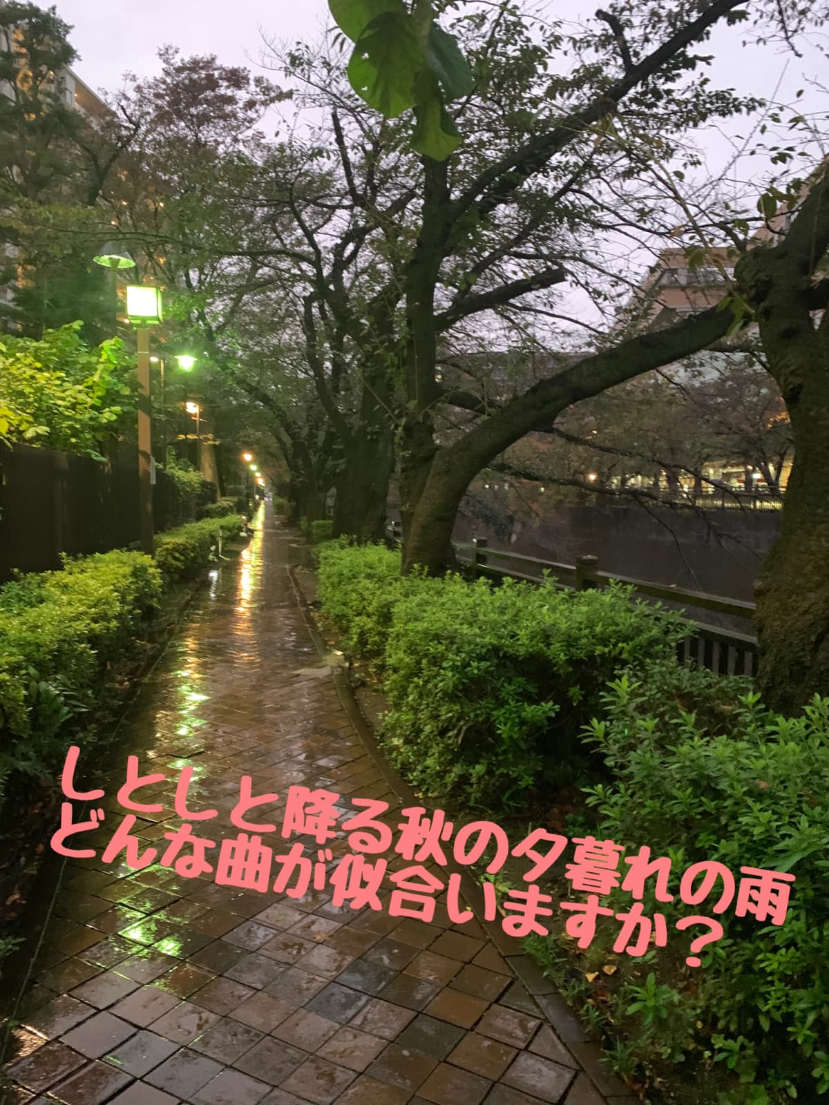 ふるかわピアノ教室 大山教室 画像 36