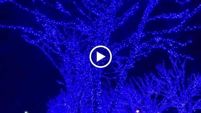 ふるかわピアノ教室 大山教室 画像 74