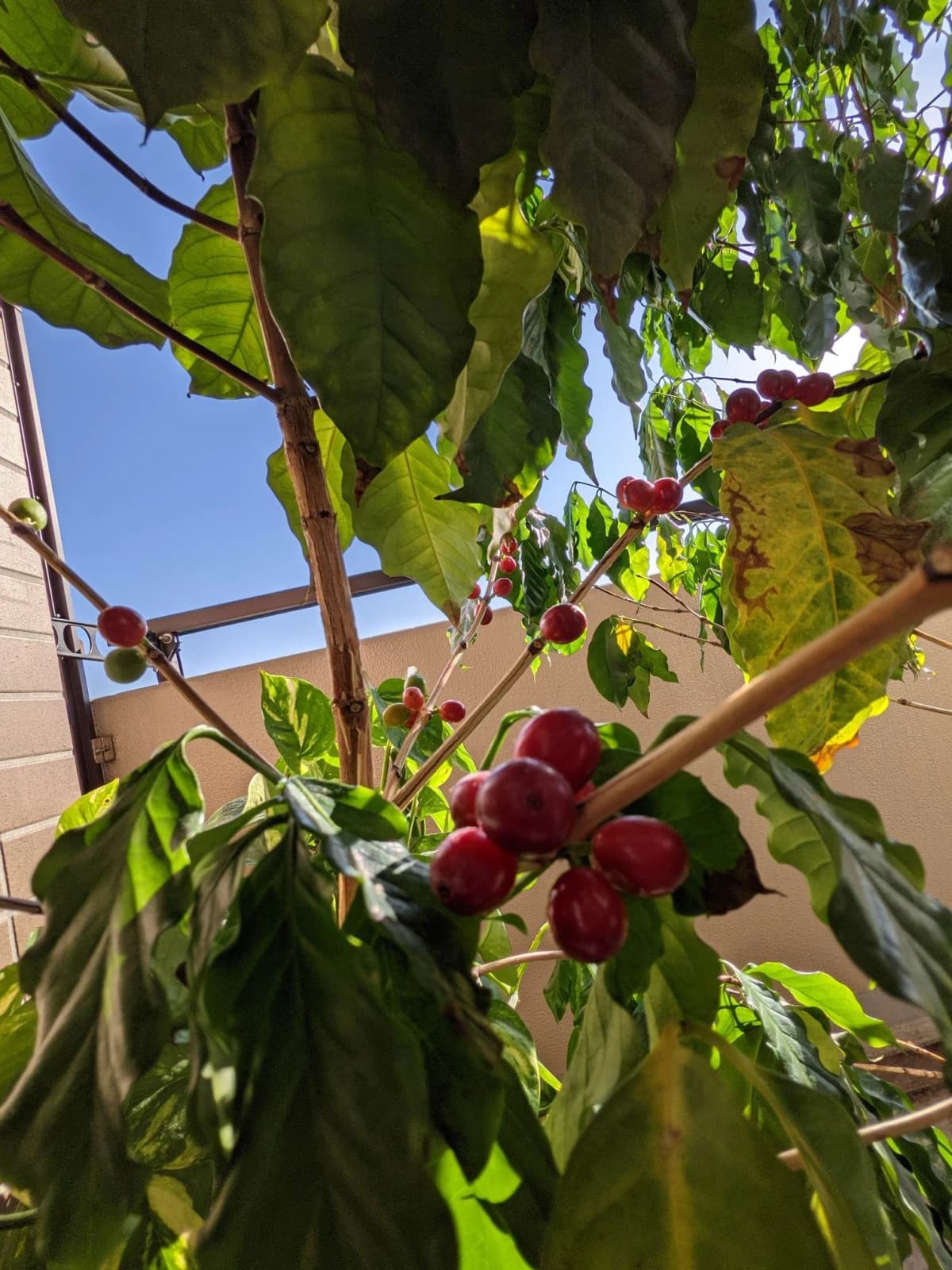 サムネイル画像 6