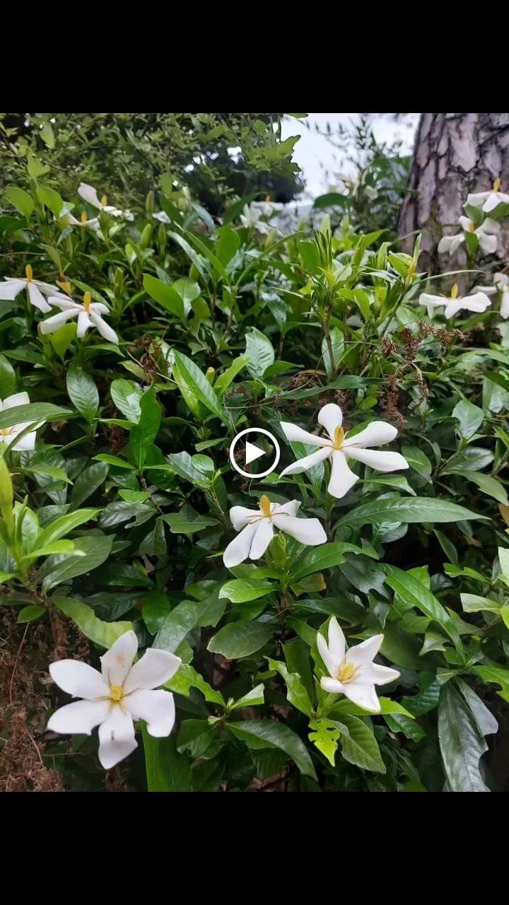 松倉音楽教室 ピアノ 三田教室のメイン画像