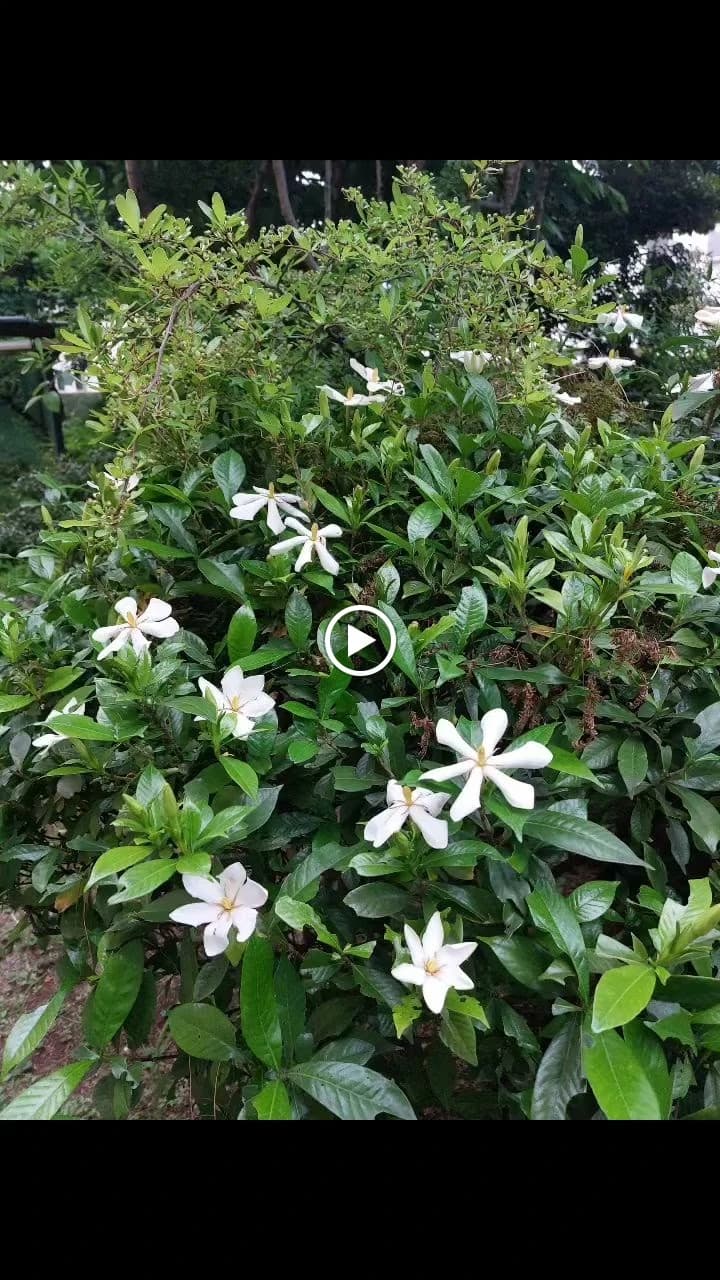 松倉音楽教室 ピアノ 三田教室のサムネイル画像 3