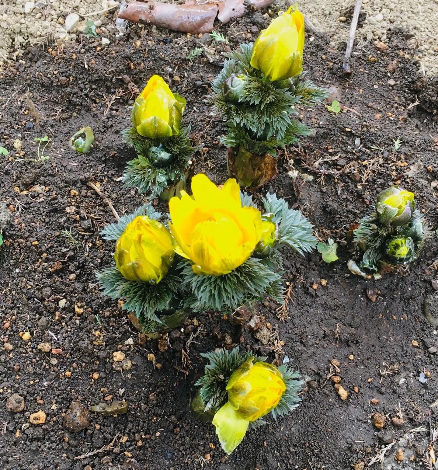 きりとうピアノ教室 井の頭教室 画像 23