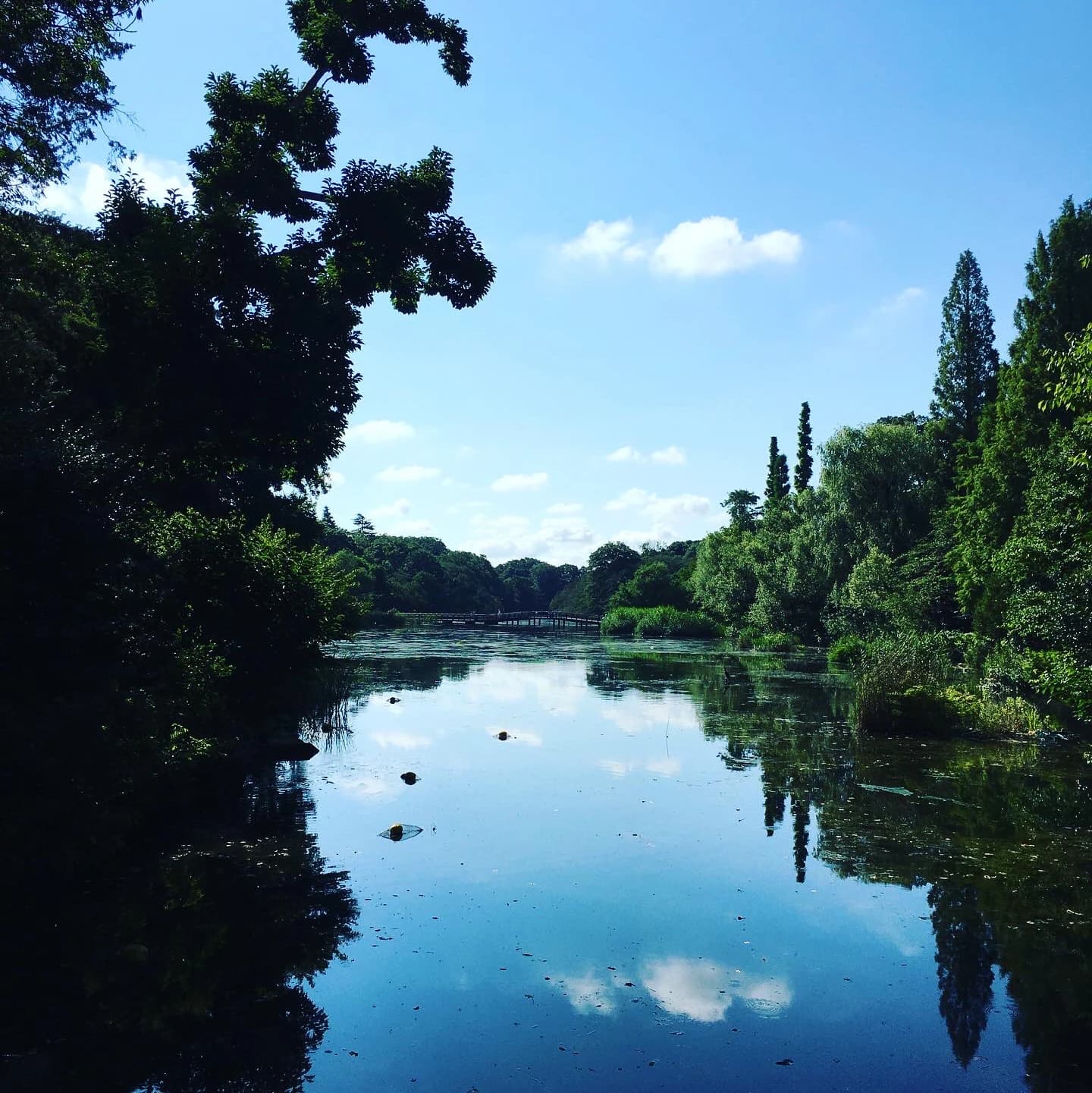 きりとうピアノ教室 井の頭教室 画像 74