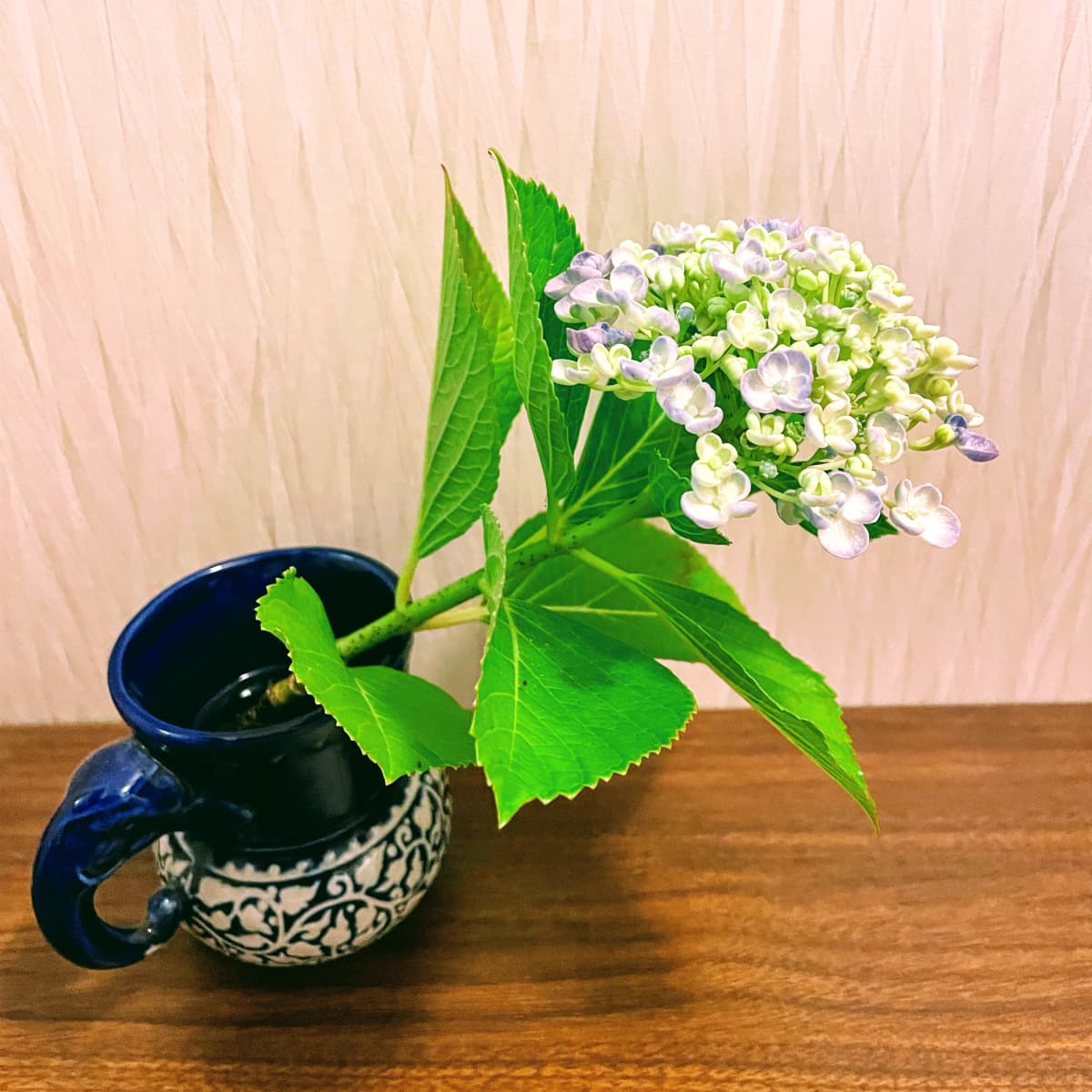 鳶尾ピアノ教室 鳶尾教室 画像 22