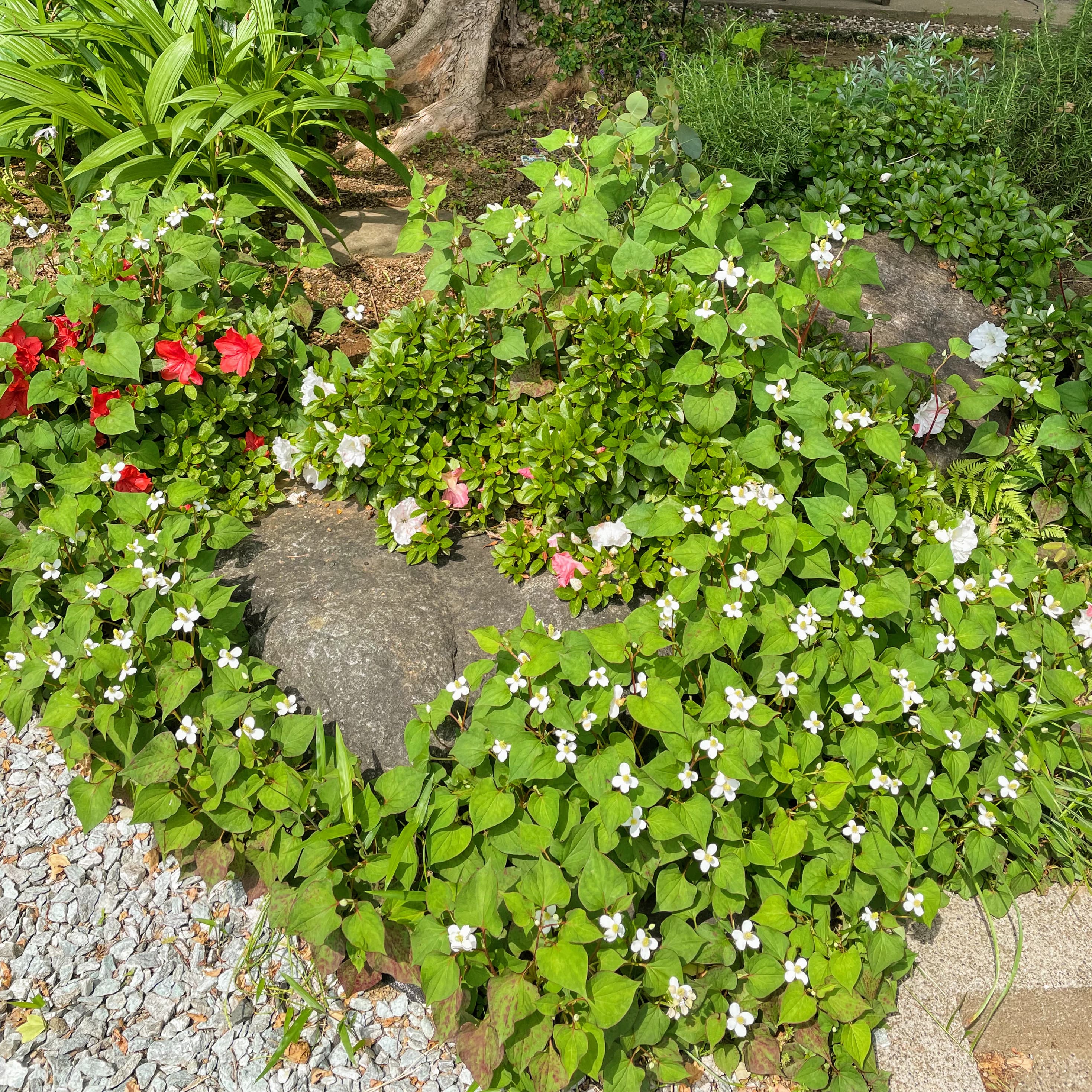 鳶尾ピアノ教室 鳶尾教室 画像 31