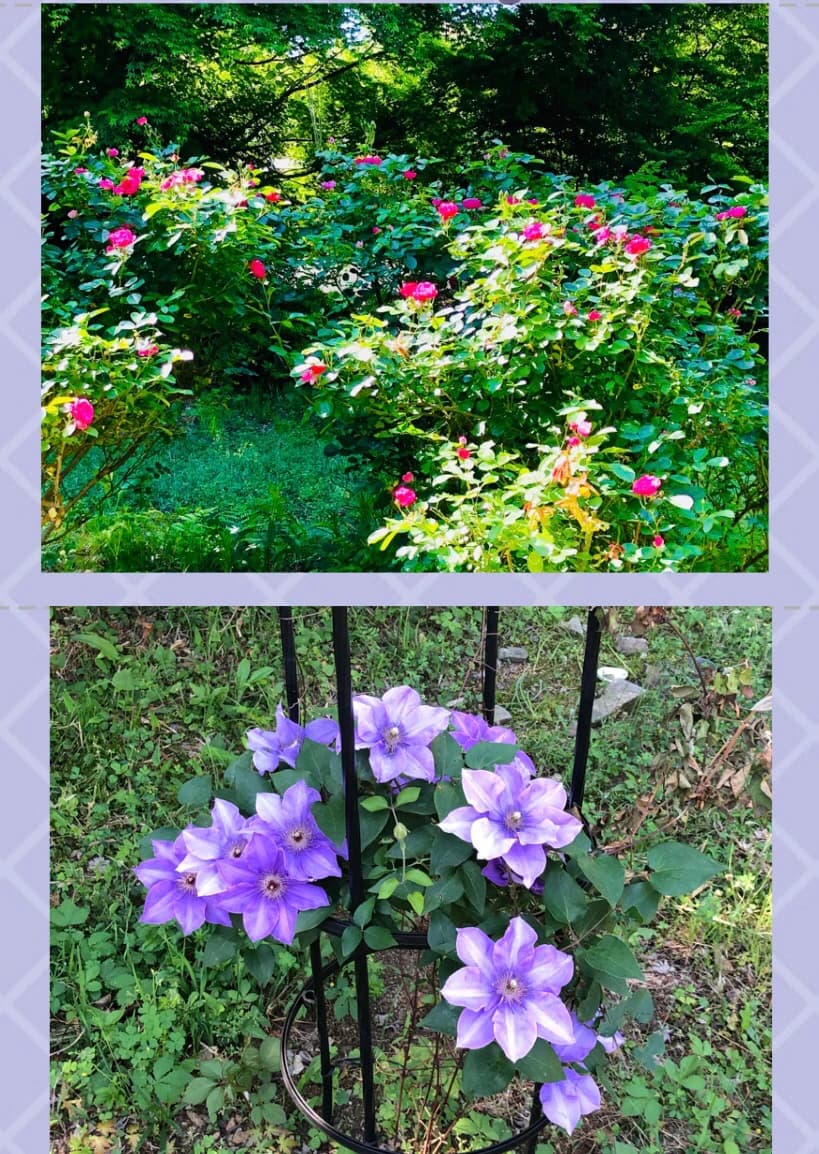 鳶尾ピアノ教室 鳶尾教室 画像 35