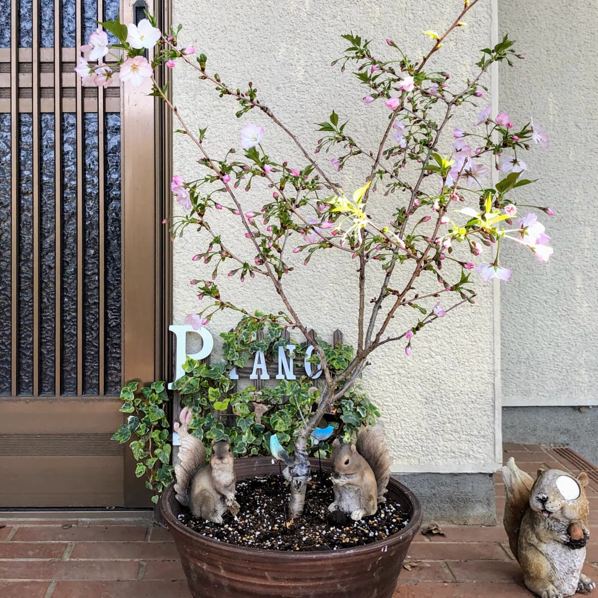 鳶尾ピアノ教室 鳶尾教室 画像 31