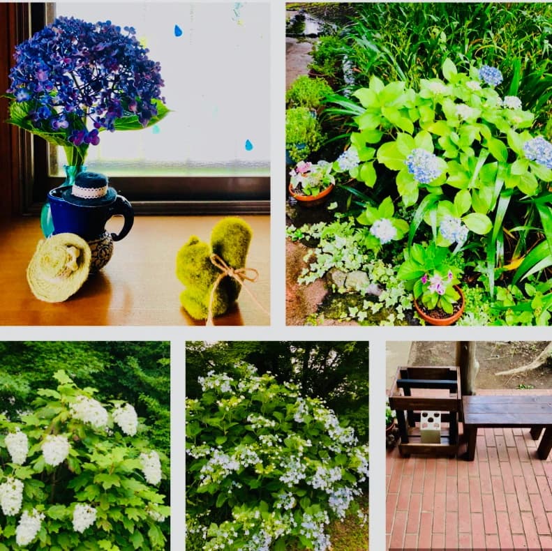 鳶尾ピアノ教室 鳶尾教室 画像 34